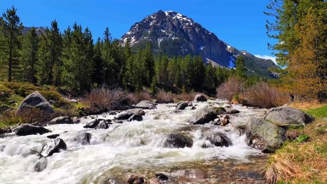 Летний день в горах ☀️