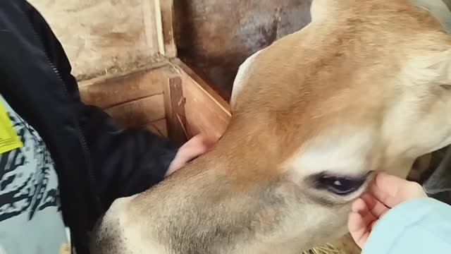 МАНАНА ОТЕЛИЛАСЬ МЫ В ГОСТЯХ 🪻💃🪻🌷