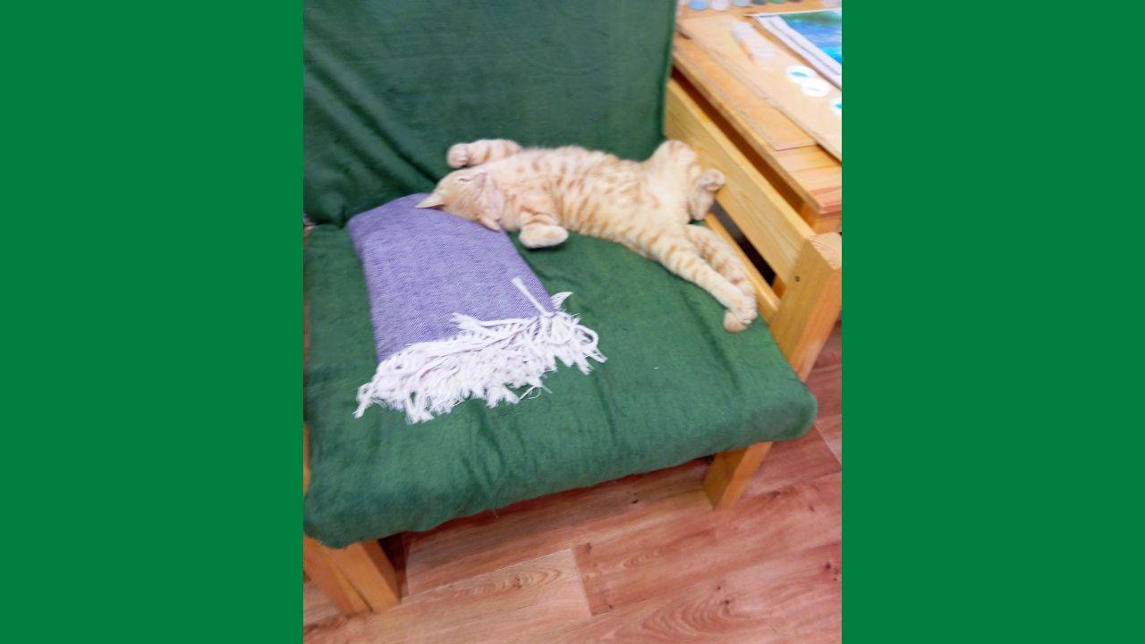 Аэробика от Тихона (методика - в описании)