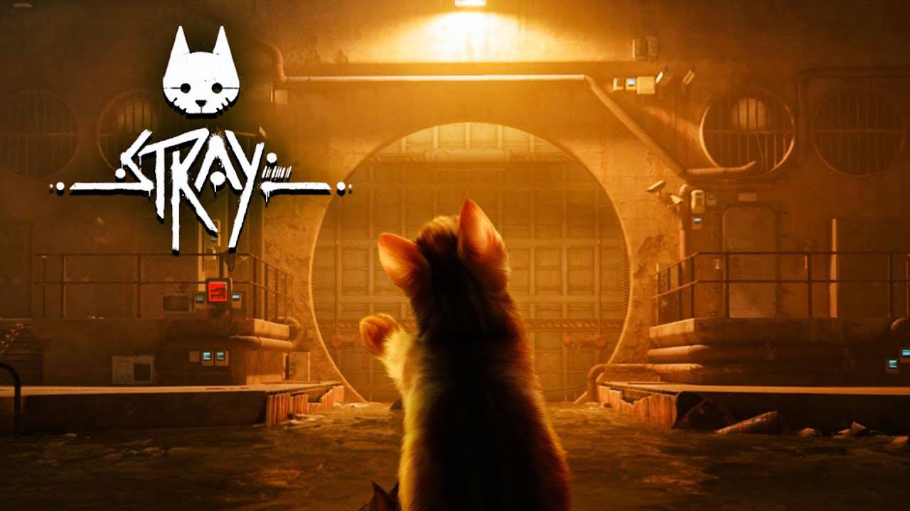 Прохождение игры STRAY Часть 4