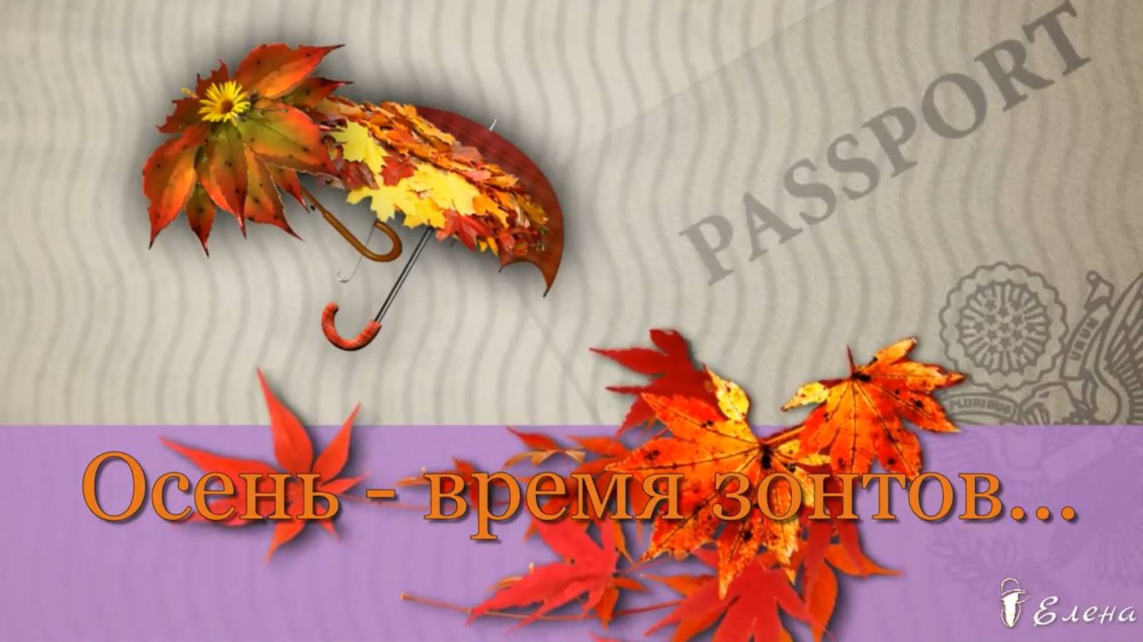 Осень - время зонтов*