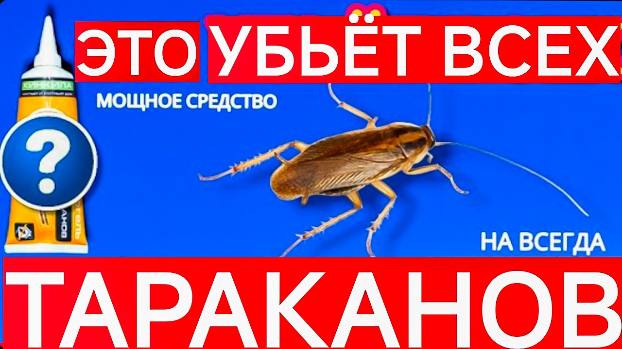 ЭТО УБЬЁТ ВСЕХ ТАРАКАНОВ. КАК ПРОСТО И БЫСТРО ИЗБАВИТЬСЯ ОТ ВСЕХ ТАРАКАНОВ?