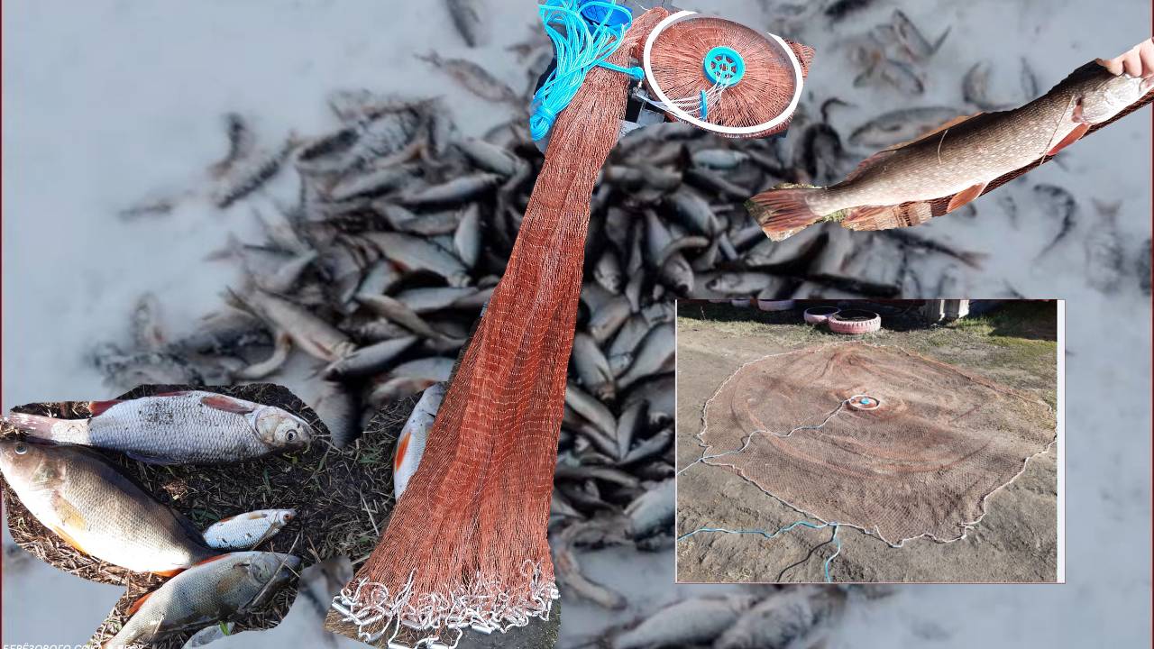 Кастинговая сеть   первые забросы, зацепился и минусы м