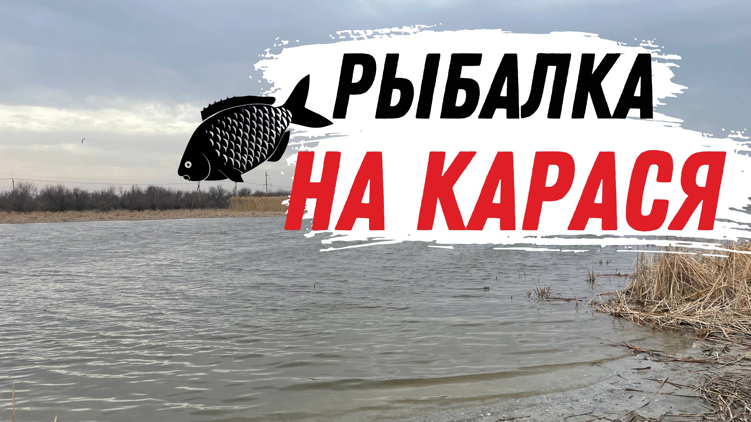 ЛОВЛЯ ФИДЕРОМ ВЕСЕННЕГО КАРАСЯ. ОТЛИЧНАЯ КОМПАНИЯ И ДОСТОЙНЫЙ УЛОВ.