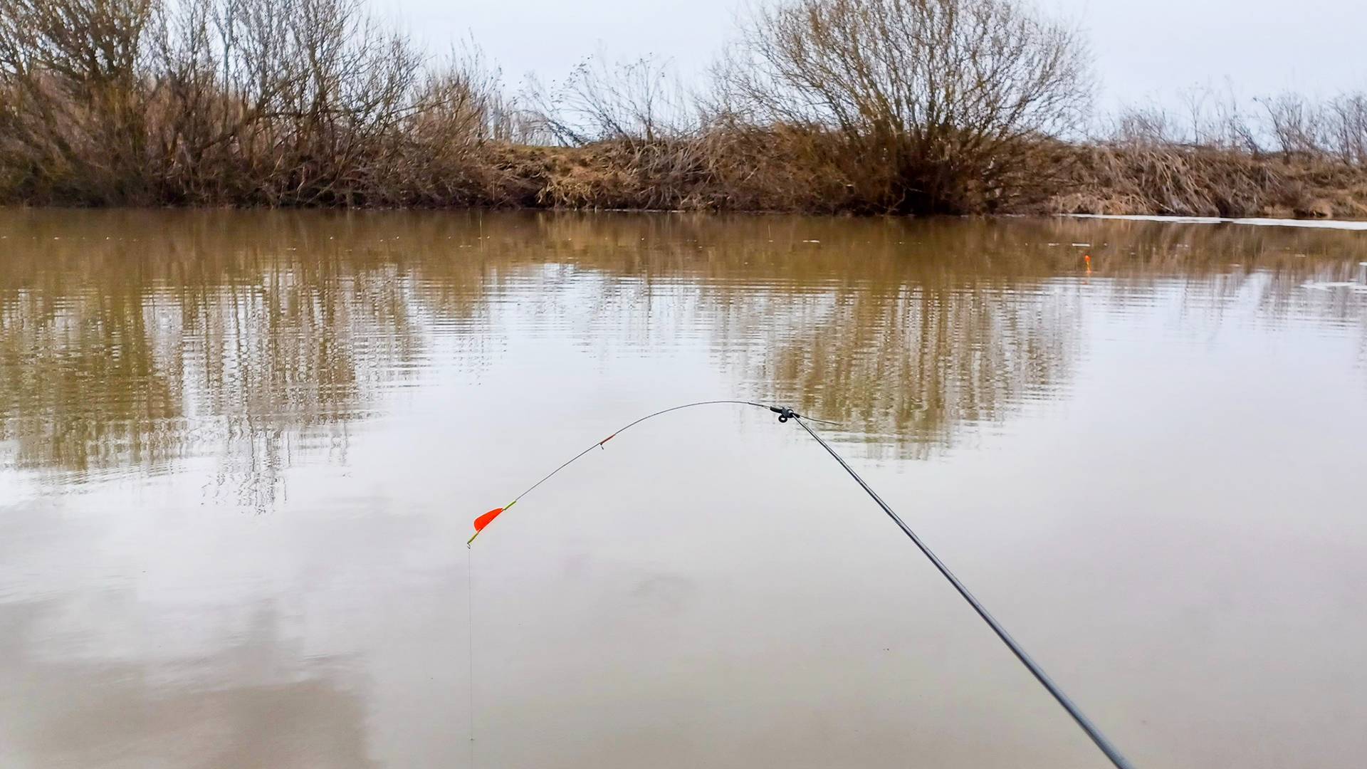 РЕЗКА ПОКЛЁВКА и КАРАСЬ в РУКАХ! Рыбалка на боковой кивок весной