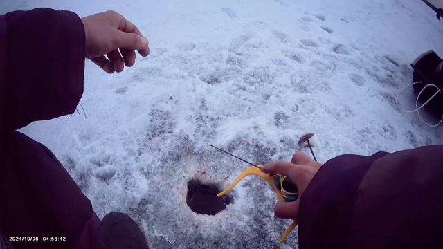 Кандрыкуль🎣 Ловля на спортивную мормышку🎣 Итоги сезона зимней рыбалки🎣
"Плотва"