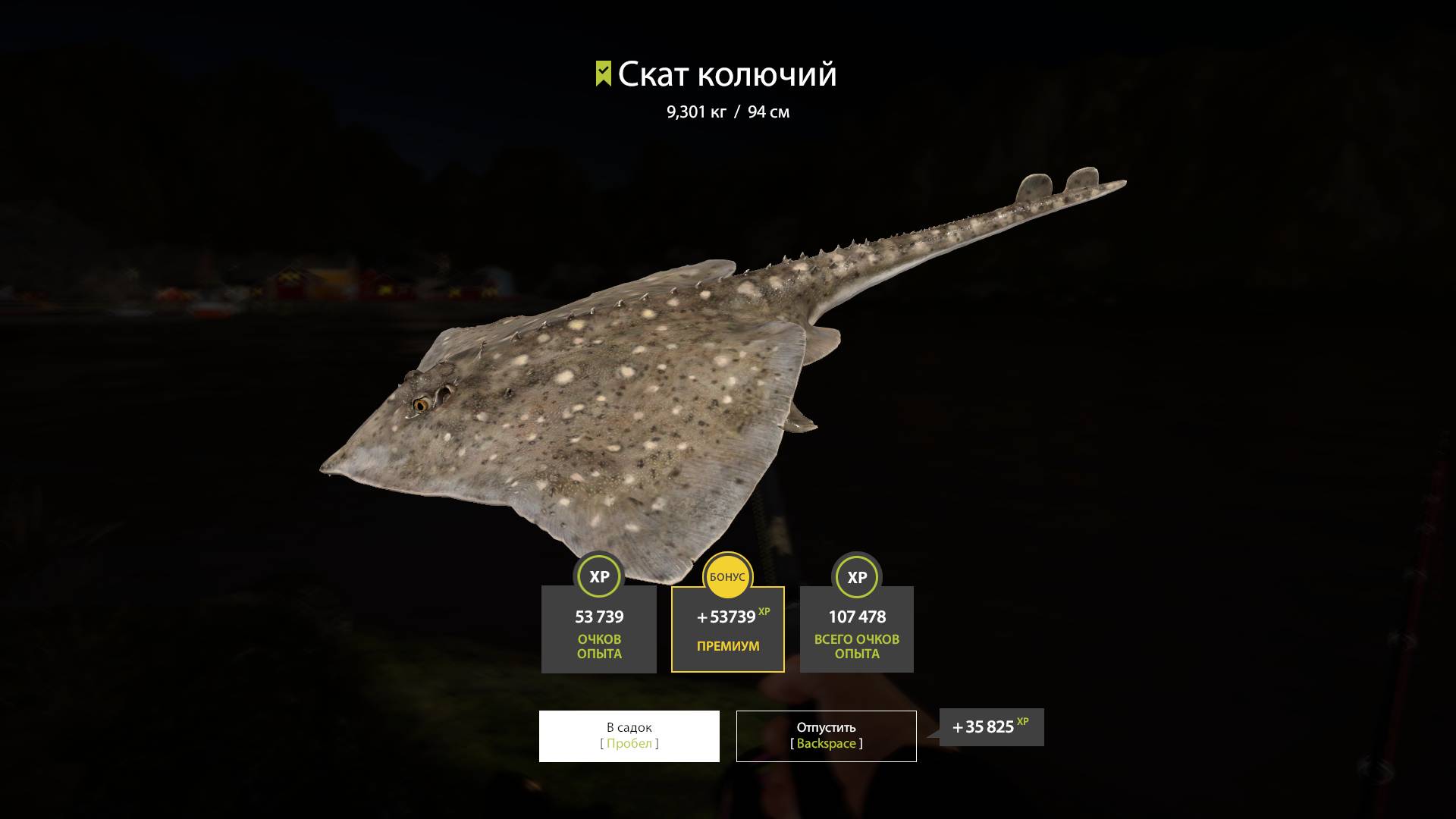 Русская рыбалка 4  Норвежское море камбала и скаты на карповые удилища кл 35 -45