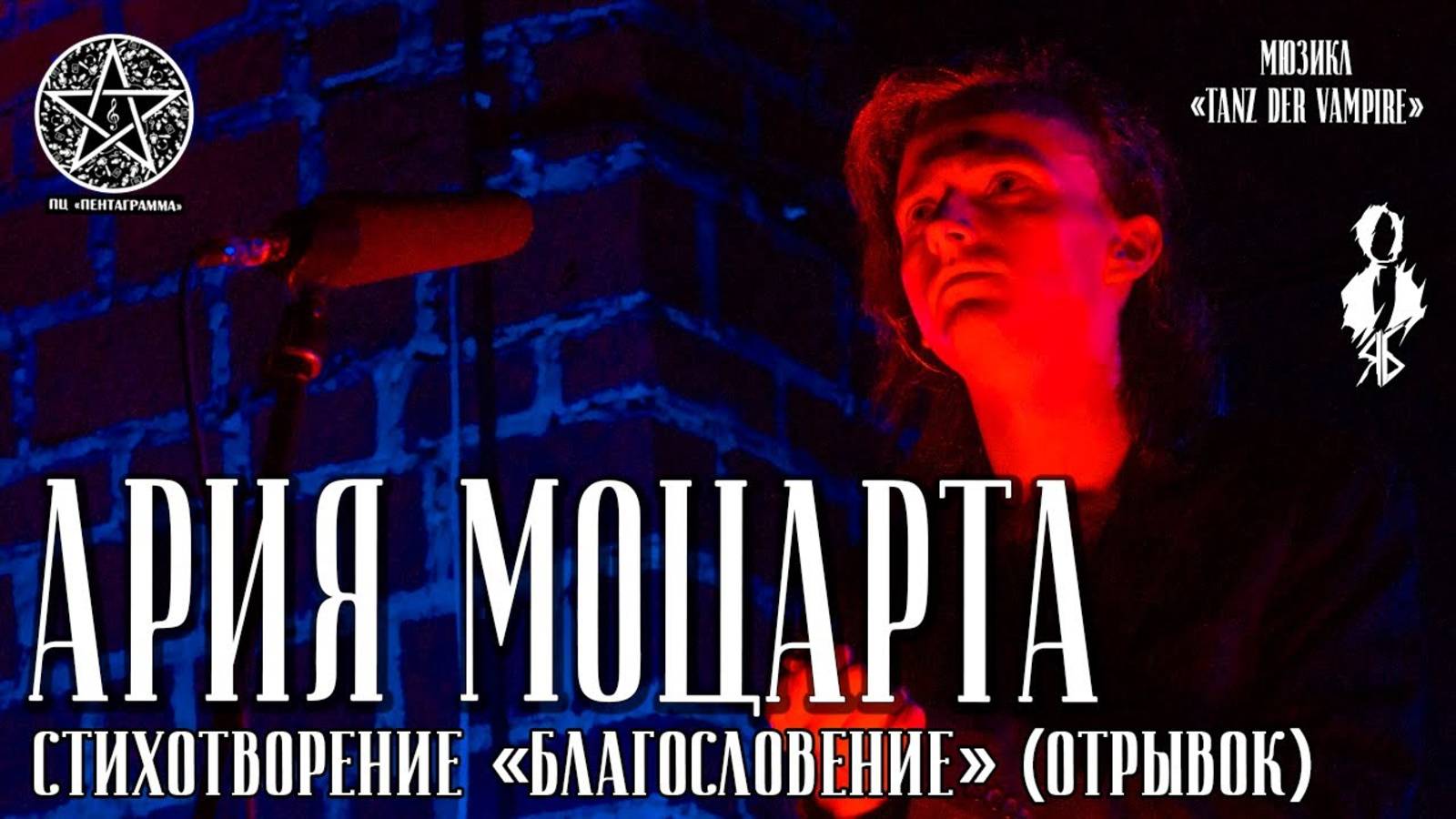 Ярослав Баярунас - Ария Моцарта (мюзикл «Mozart! Das Musical») │стих. «Благословение» отрывок