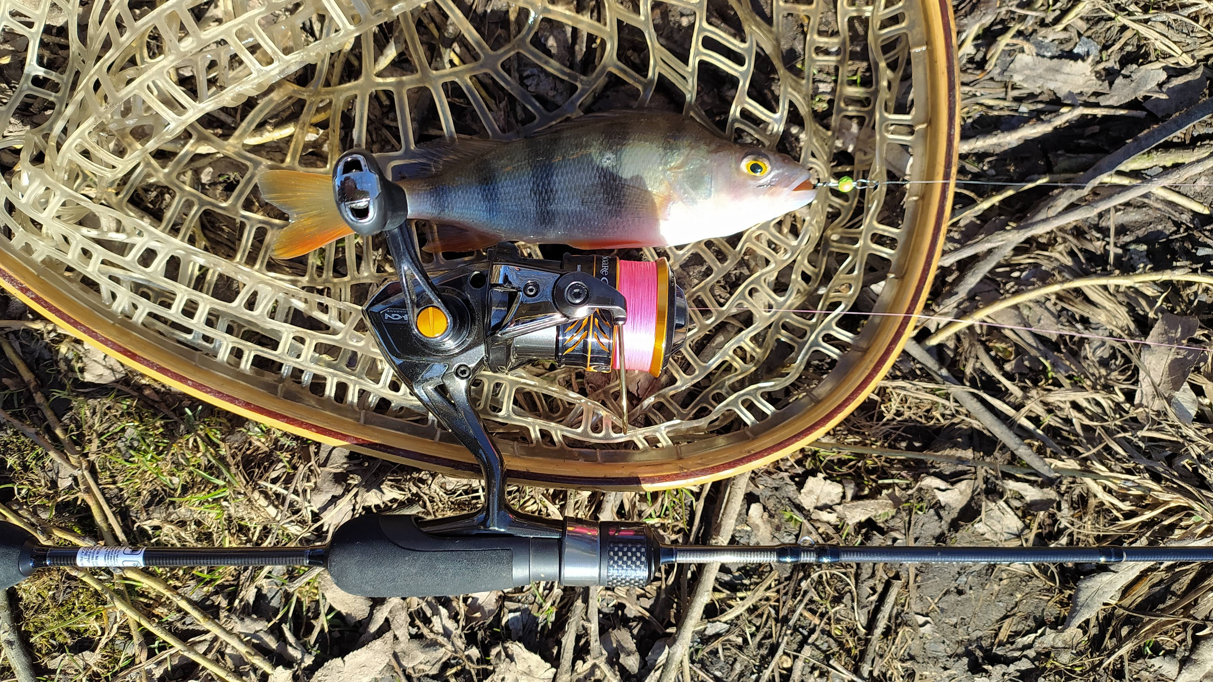 Домашний водоем 23 марта 2025 года, микро-джиг