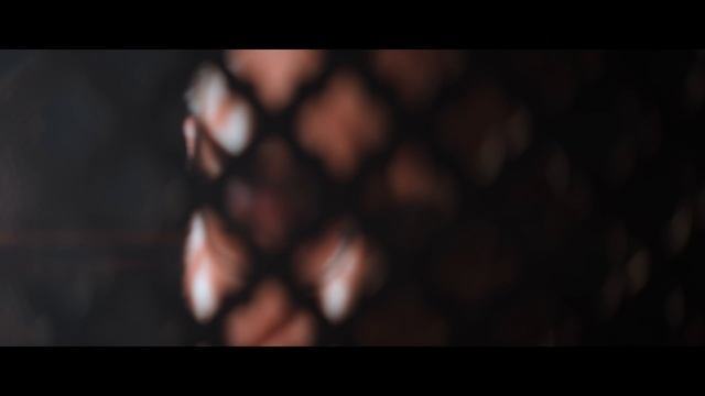 Владимир Пресняков — Небо