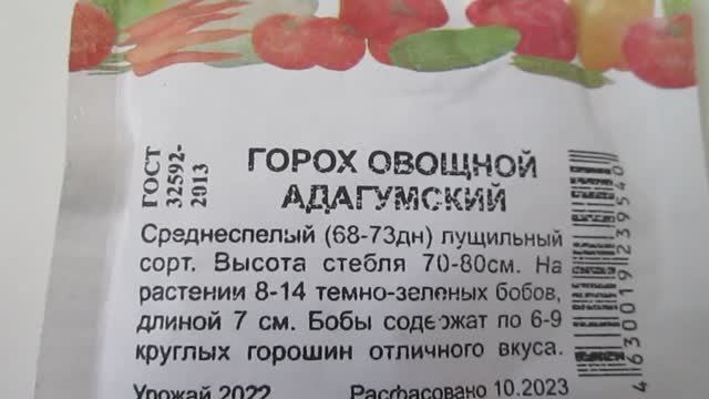 Горох  Адагумский  Семена