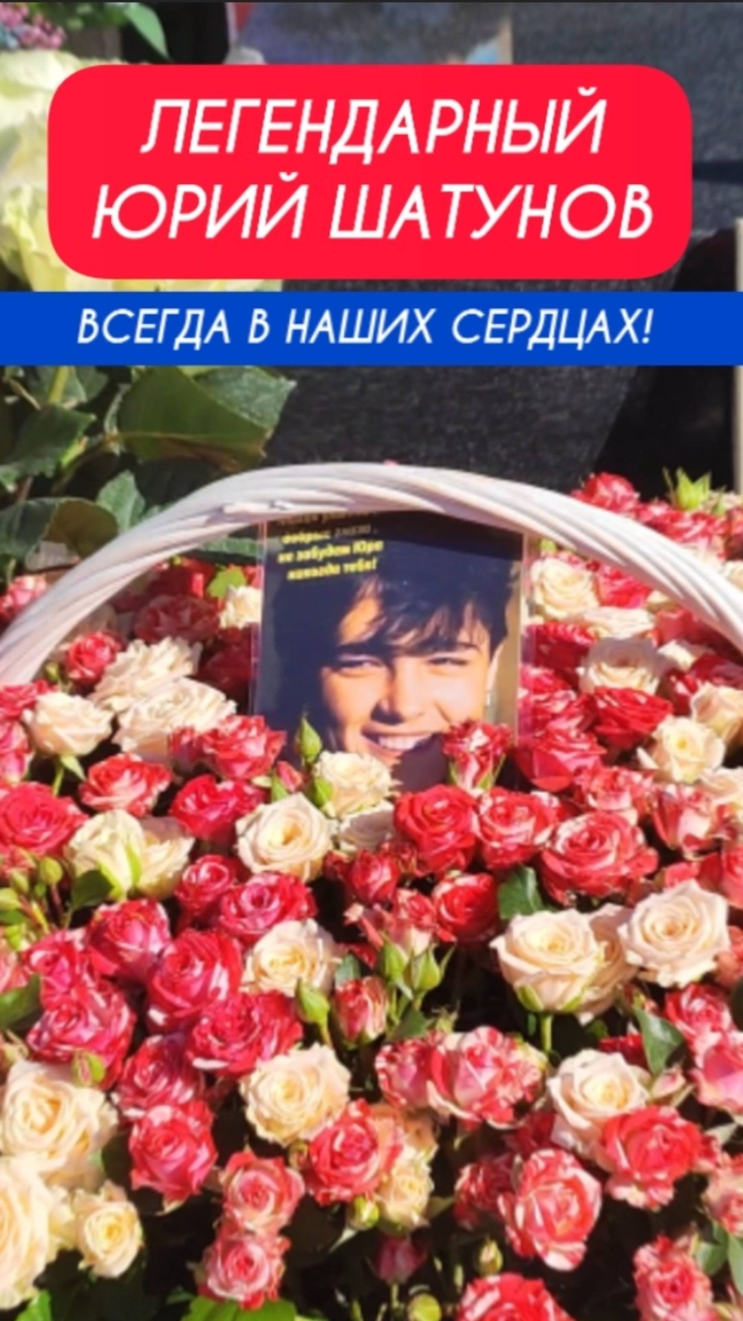 Юрий Шатунов - любим народом! #shorts #шатунов #2025 #shortvideo #ласковыймай #short #белыерозы