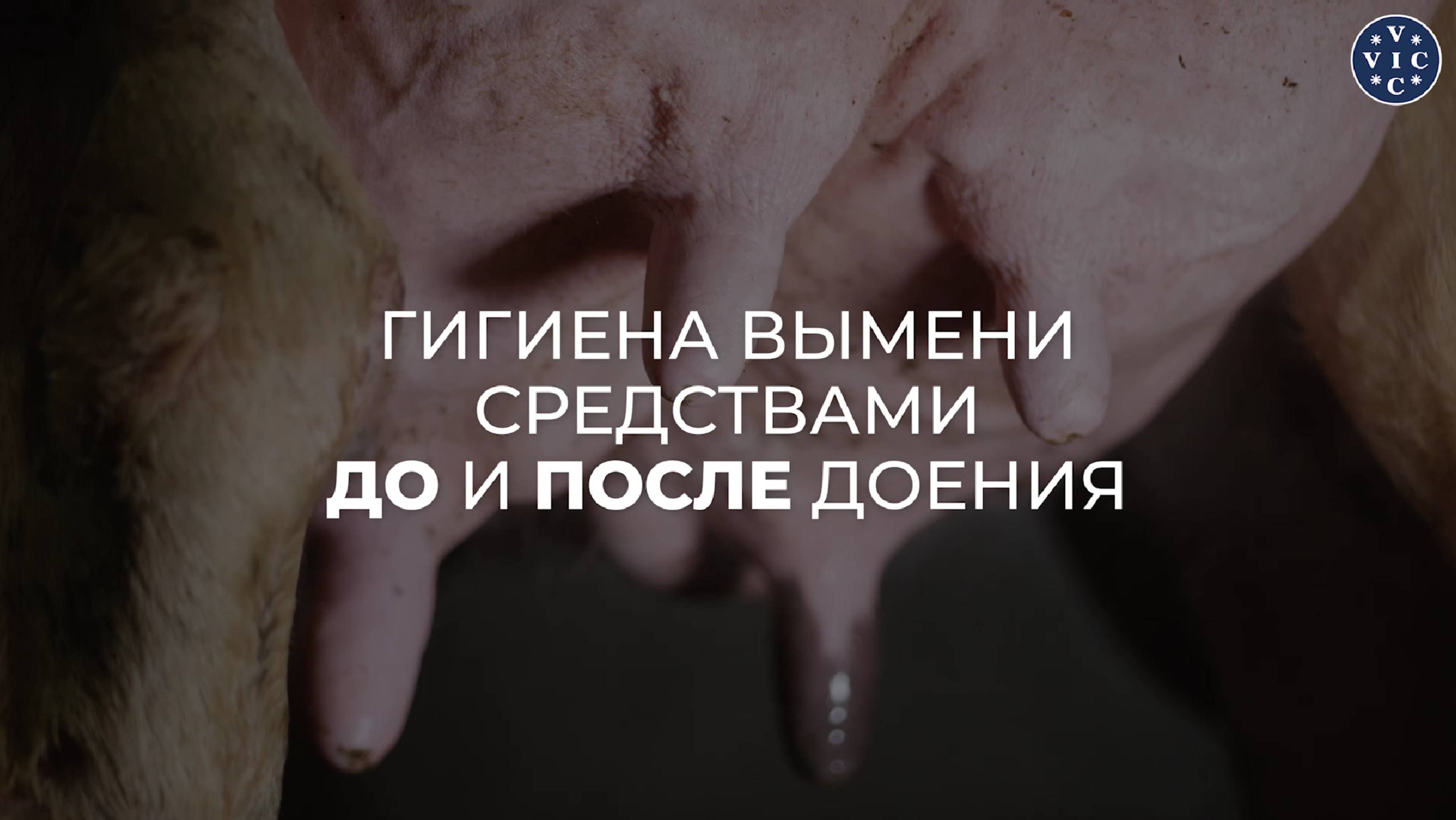 ЛАКТИК  - линейка для гигиены вымени