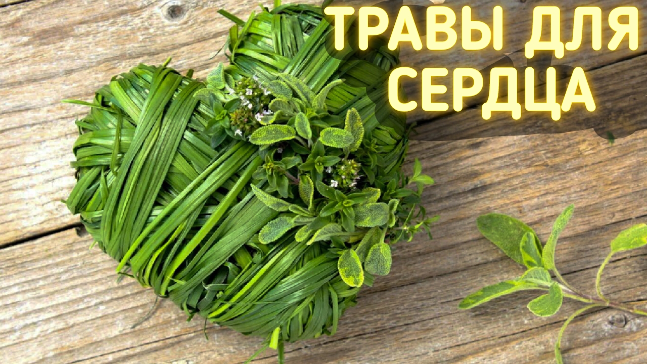 НАРОДНЫЙ РЕЦЕПТ ДЛЯ ЛЕЧЕНИЯ СЕРДЦА И СОСУДОВ. ТРАВЫ ДЛЯ ЗДОРОВЬЯ СЕРДЦА.