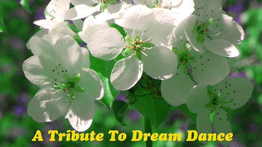 Memories (A Tribute To Dream Dance)  1