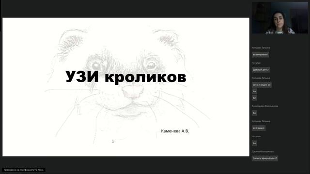 Вебинар А. В. Каменевой на тему: "Особенности УЗИ экзотических пациентов"