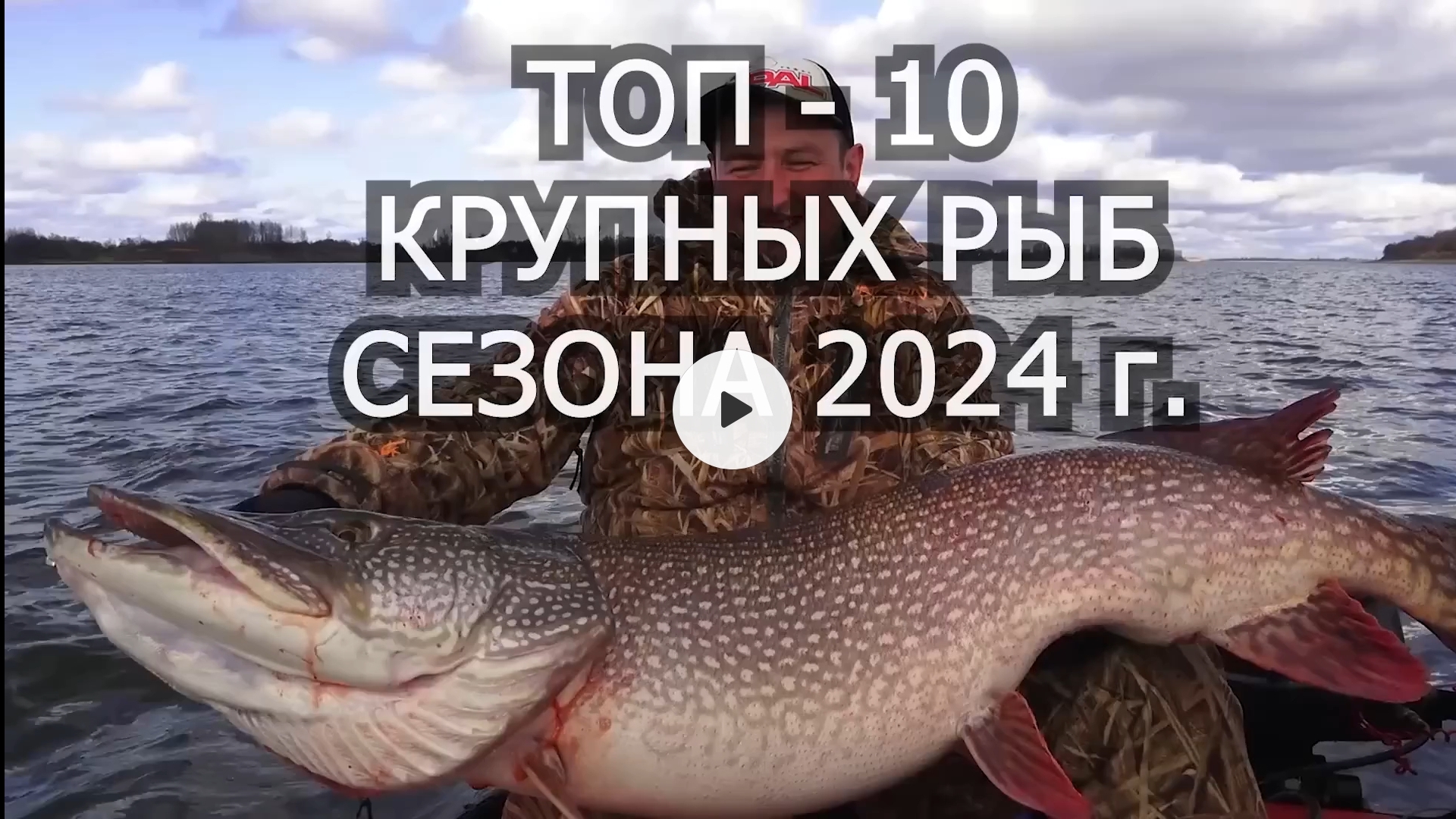 Топовый улов