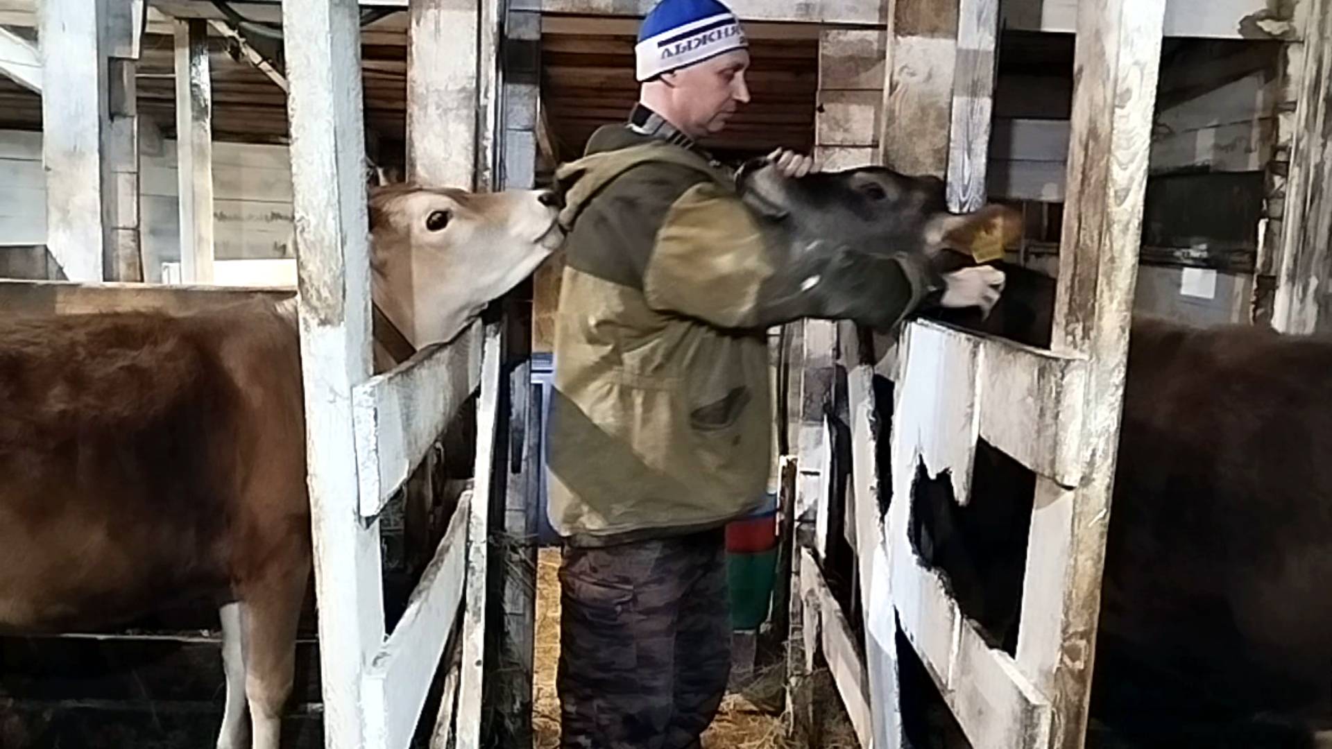 ЛЕША ПОМЫЛ ВСЮ СКОТИНУ🤔