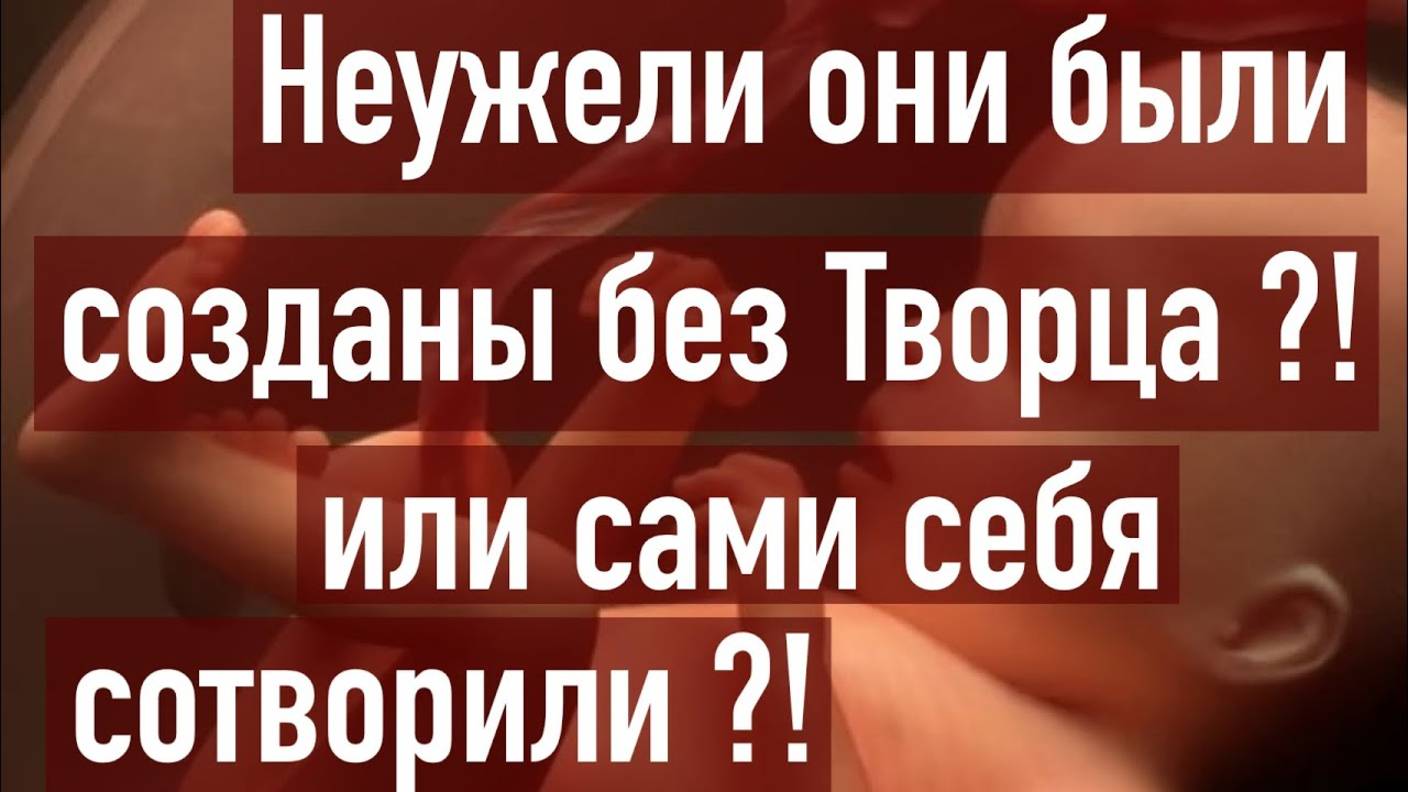 Эволюция или сотворение?