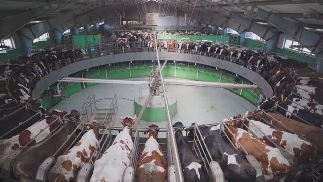 Восток-Агро - дело тонкое, Воронежская область