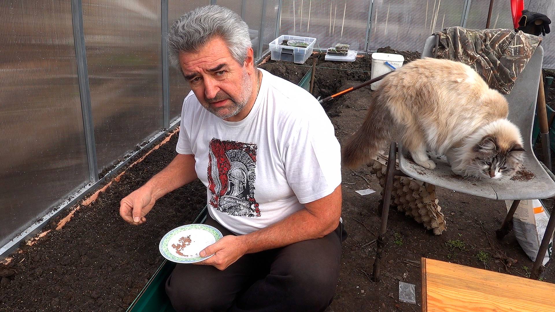 Посадка редиски в лотки для яиц / Посадил салаты / Вкусный обед