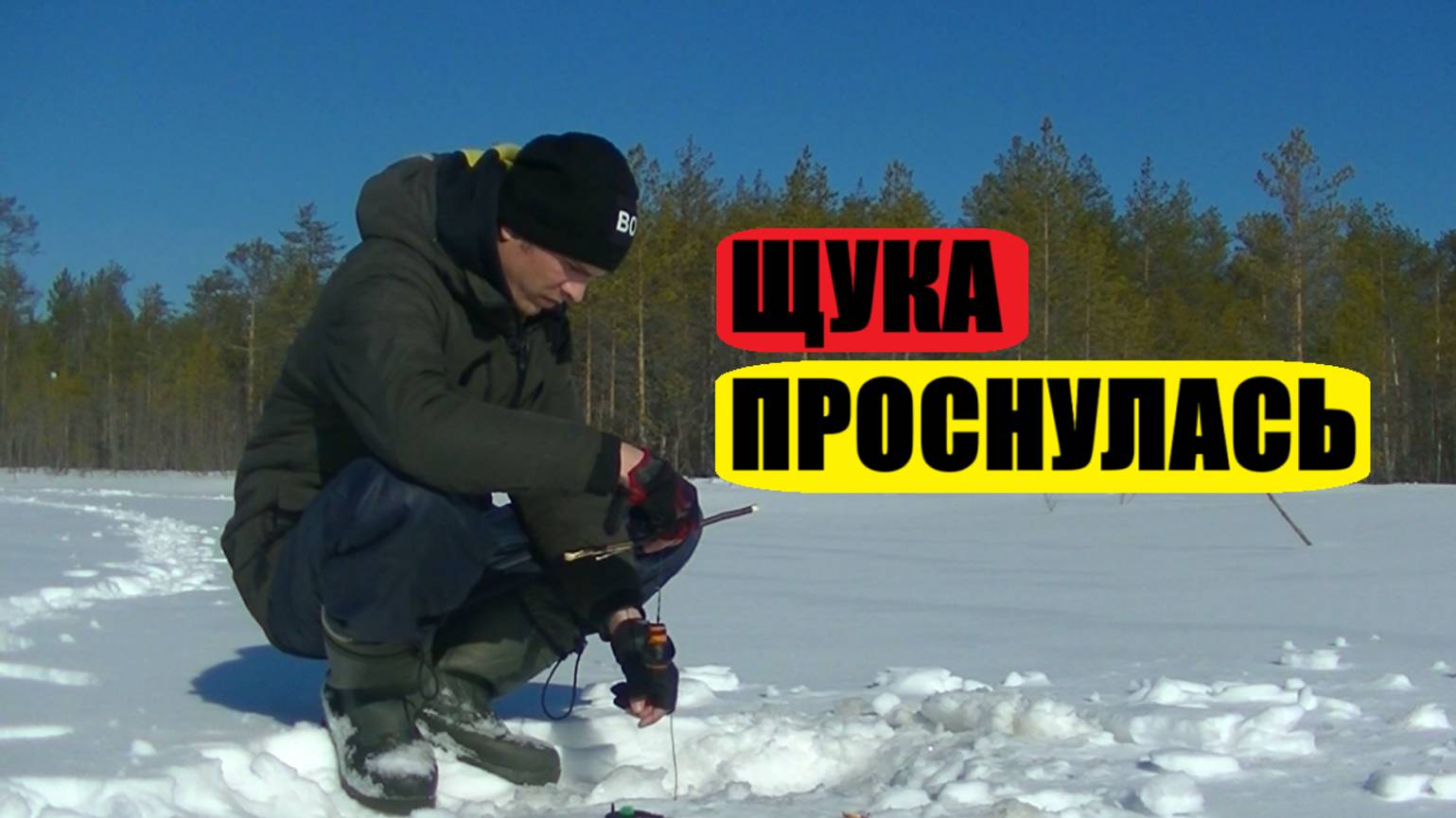 Ловля щуки в марте на самоловки.Рыбалка на озере в болоте.