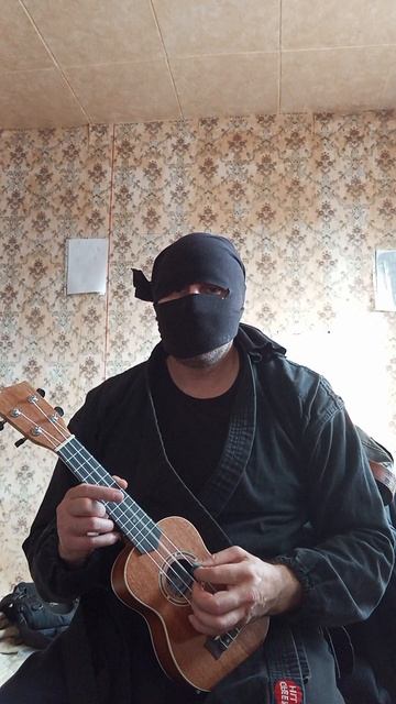 Крайне Северный Ниндзя: Ёж (26.03.2025) Very Nordic Ninja: Hedgehog #VeryNordicNinjaUkuleleRiffArts