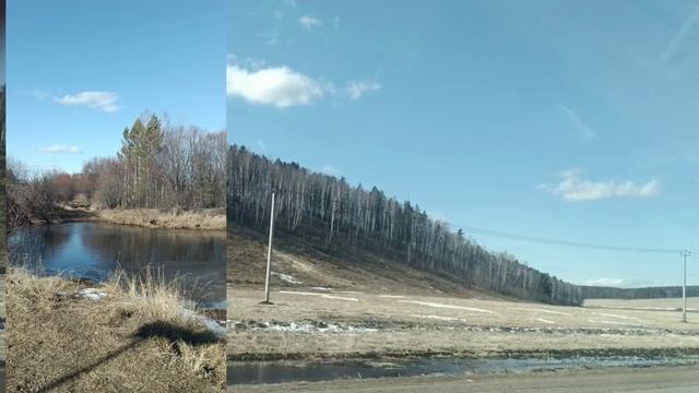 ВЕРБОЧКА 1000044212.mp4