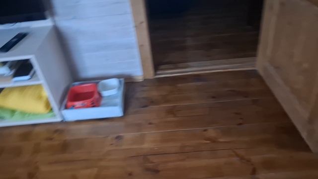 #19 Спешим уехать, похолодало. Дома заросли,  хочу избавиться от части цветов