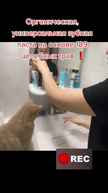 Зубная паста#нанобальзамы