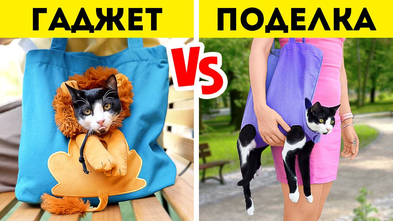 Гаджеты для кошек или поделки 🐾 Purrfect советы для владельцев кошек 😺