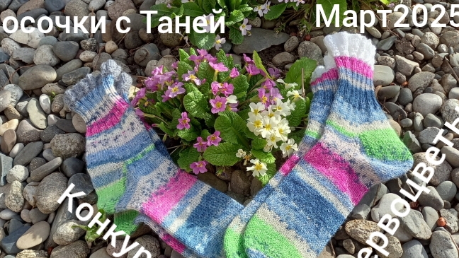 26-03-2025 Носочки с ТАНЕЙ 2025/КОНКУРС ПЕРВОЦВЕТЫ