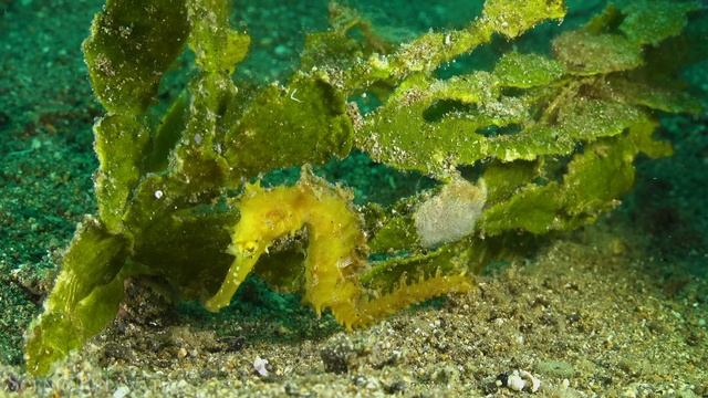 4К Океан - Красивая природа и спокойная музыка которая подойдет для отдыха, медитации и даже сна