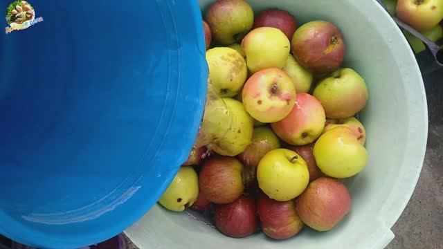 🍎Яблочный сок - здоровье и удовольствие🧋