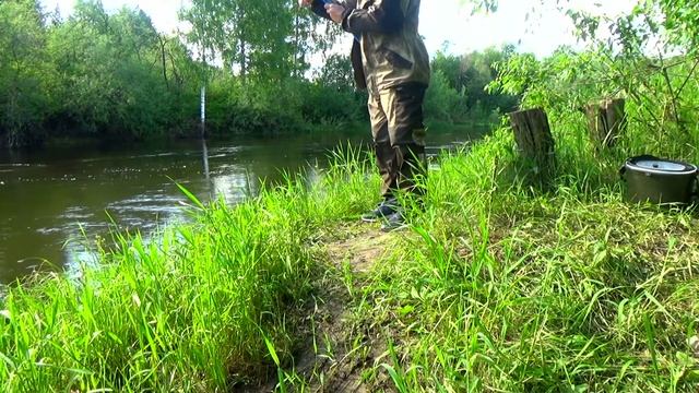 ✅📥Видео с Ютюб. Рыбалка для души на поплавочную снасть, ловля Плотвы.