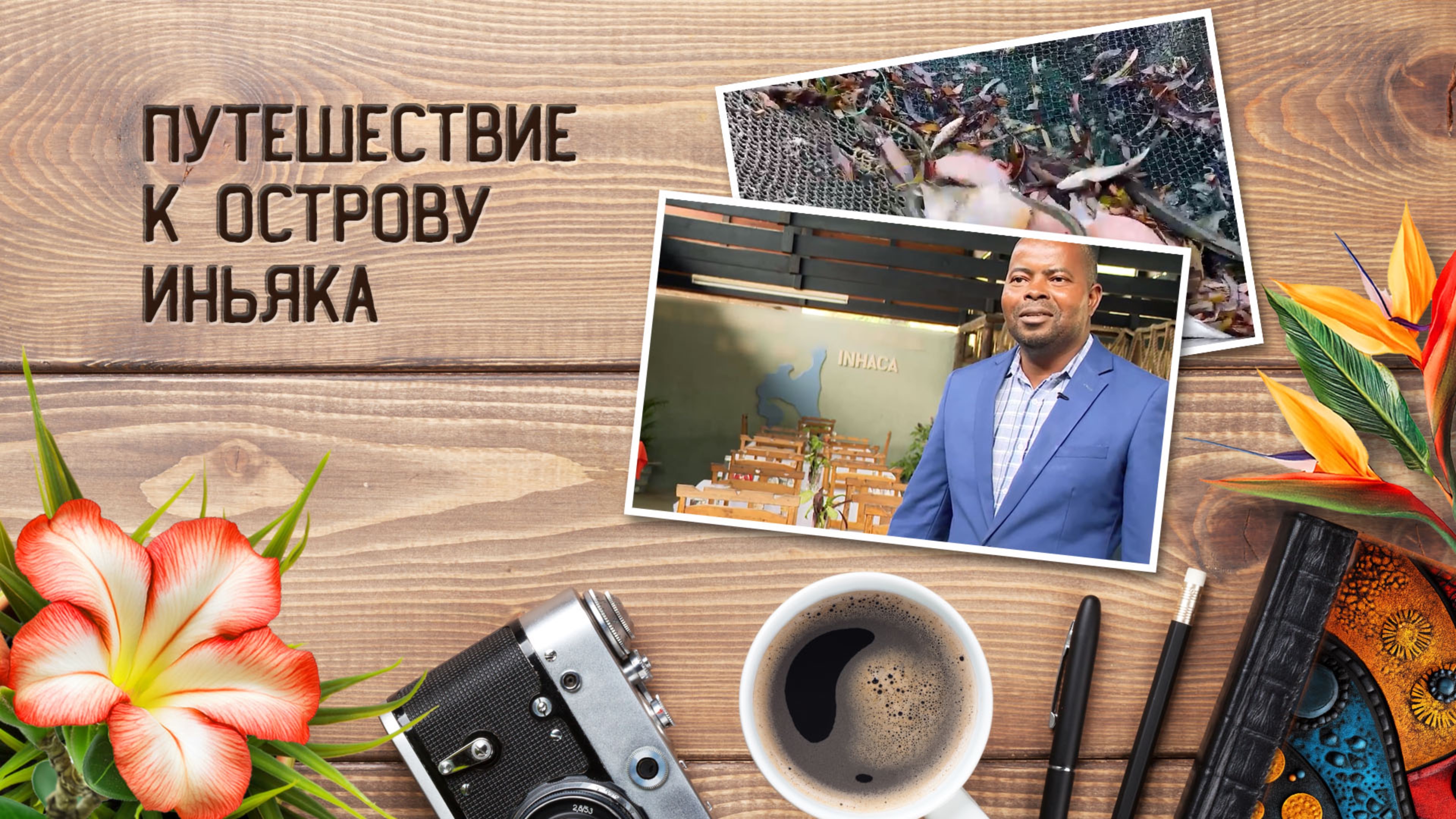 Очарование Мозамбика. Путешествие к острову Иньяка