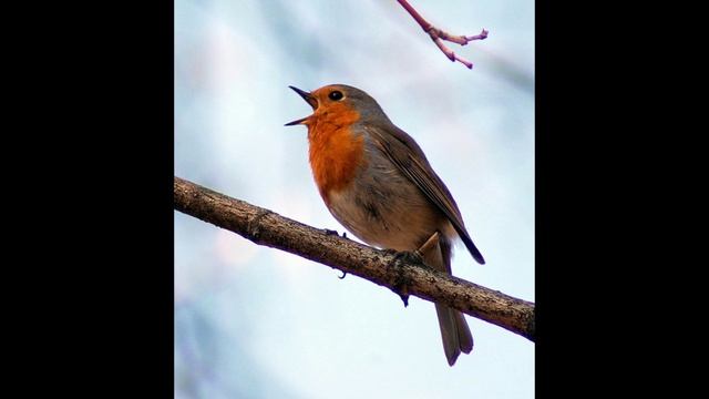 Первое апреля