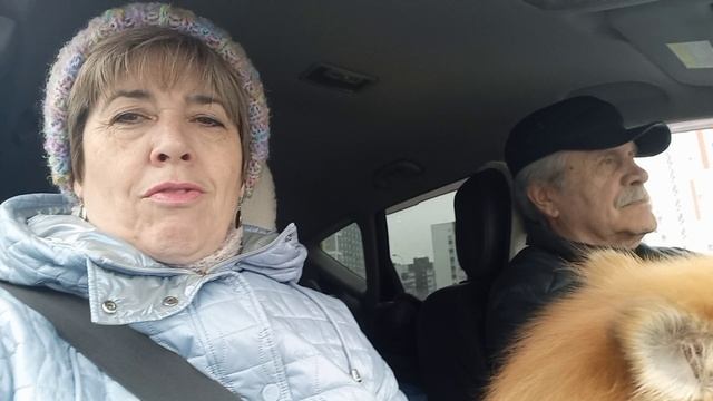 Поехали на дачу посмотреть масштаб катастрофы после бомбардировки дронами