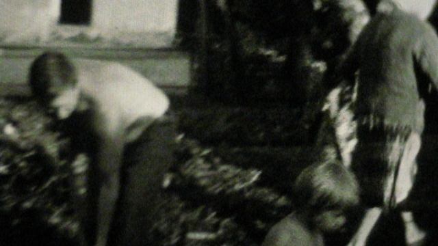 Домашний архив Волжский край