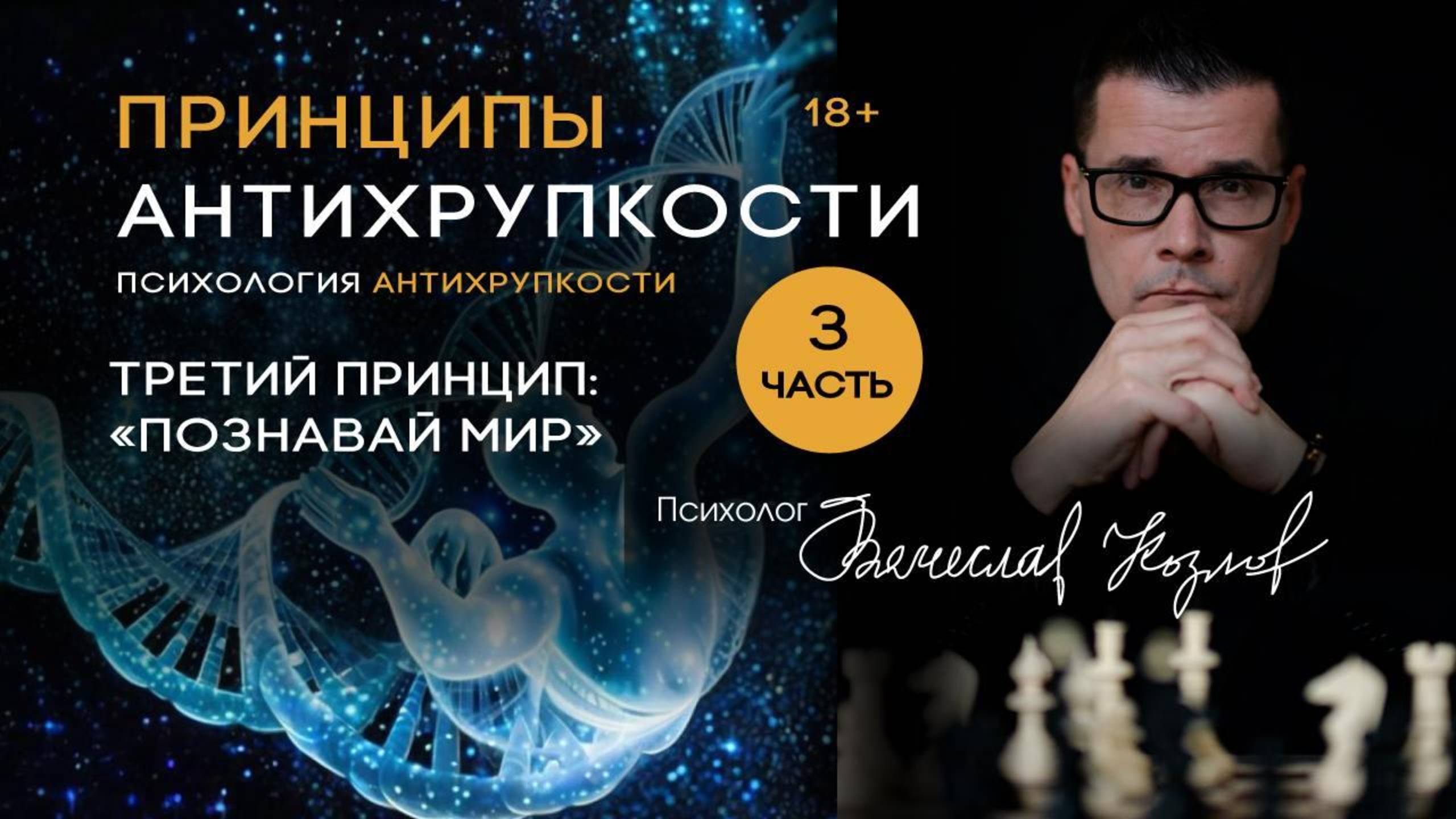 3 принцип Антихрупкости: «Познавай Мир»