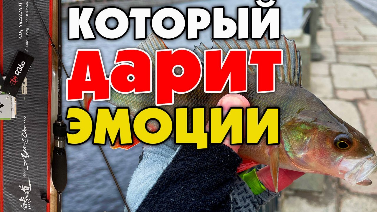 💥ЯРКИЕ ОЩУЩЕНИЯ. ОКУНИ с ФОНТАНКИ!💥 MajorCraft Aji-Do S622L/Aji #стритфишинг #микроджиг