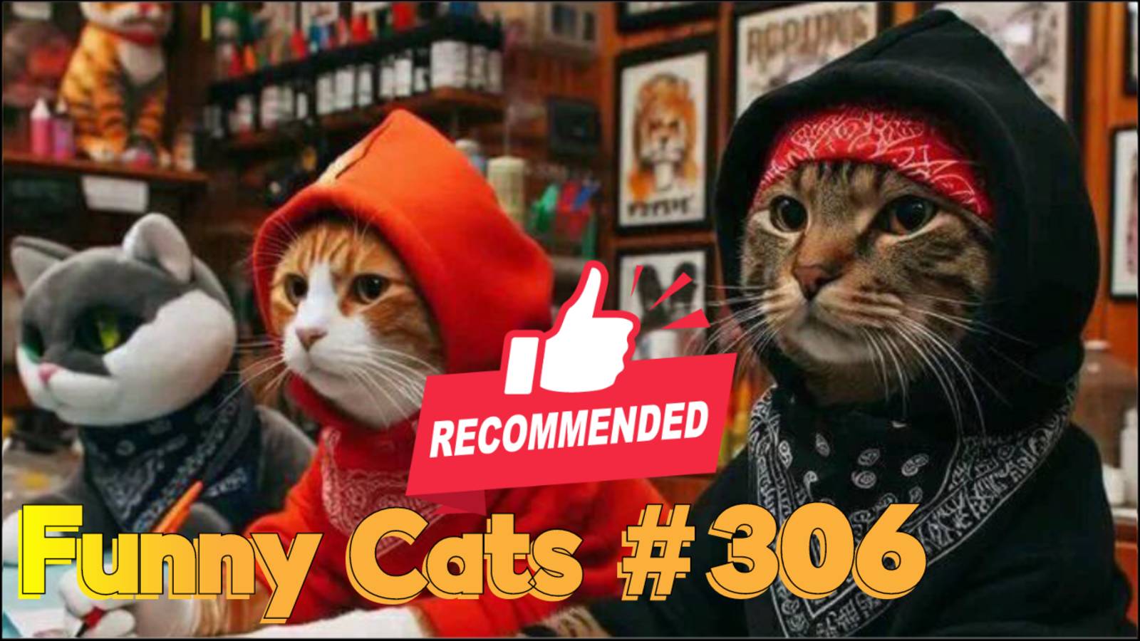 Смешные коты #306