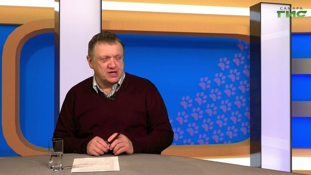 "Курсинг в спортивном собаководстве" / "Хочу домой! от 28.03.2025