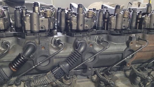 DAF 105 выбрасывает антифриз в выхлопной коллектор