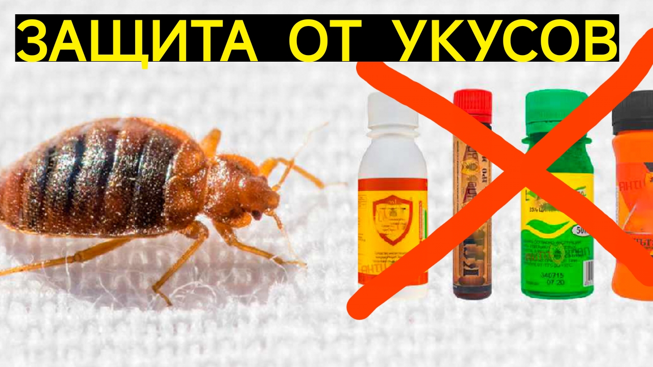 КАК ВЫЖИТЬ В КОМНАТЕ С КЛОПАМИ? КАК ЗАЩИТИТЬСЯ ОТ УКУСОВ ХОТЯ БЫ НА НОЧЬ?ПОДРУЧНЫМИ СРЕДСТВАМИ.