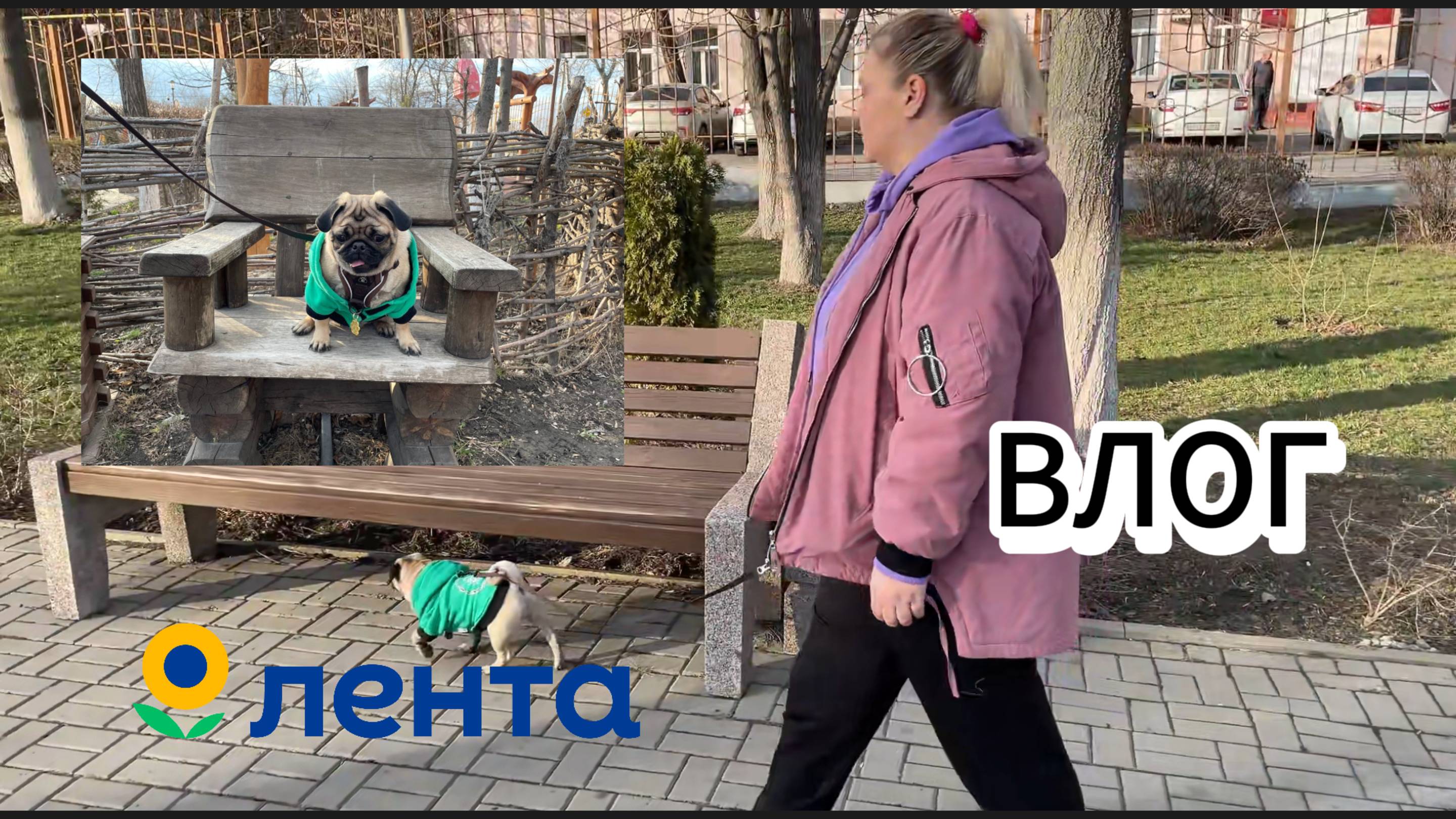 ВЛОГ // ЕДУ НА УЗИ // ПРОГУЛКА С ЧИМИНОМ  // ЛЕНТА И ПОКУПКИ