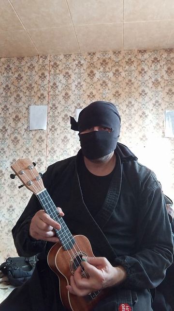 Крайне Северный Ниндзя: Сыч (28.03.2025) Very Nordic Ninja: Owl #VeryNordicNinjaUkuleleRiffArts