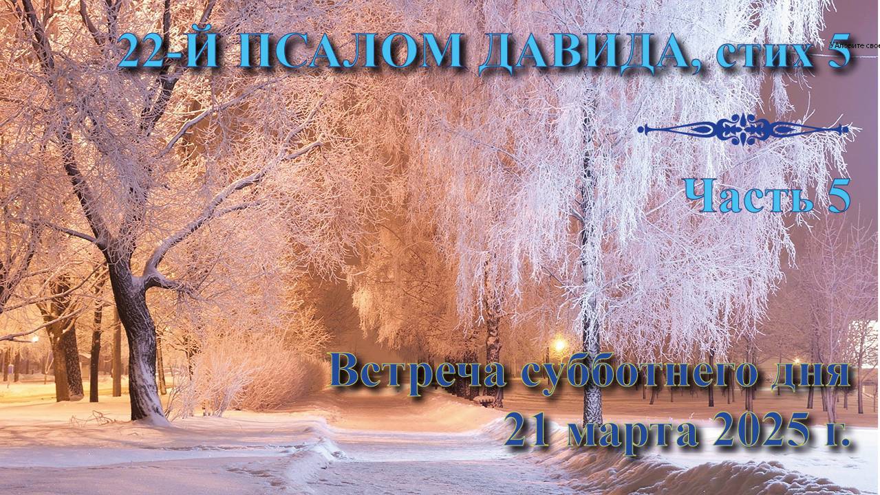21.03.2025. Встреча субботы: пастор Владимир Вачев. Встреча 5. 22-й псалом Давида, стих 5.