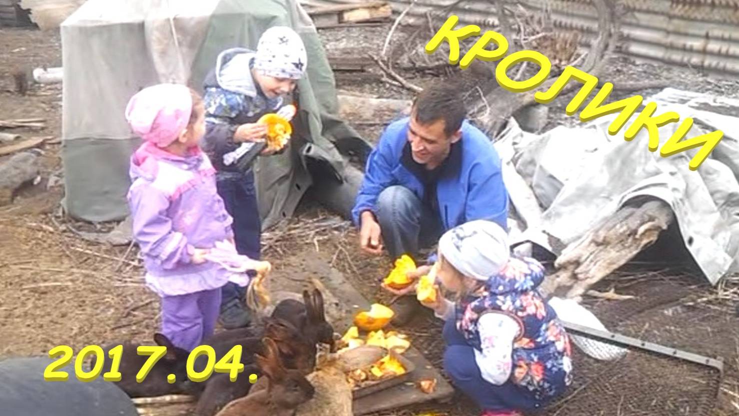 2017.04  Дети кормят кроликов на огороженной территории. Данил и Дарина.