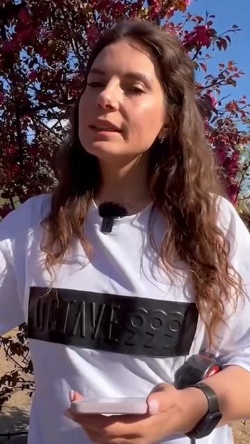 Можно ли сформировать арки из плодовых яблонь?